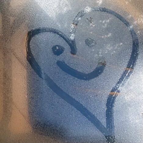 No Kings Day : Le Roi Trump en avion (vidéo) ou l’inversion des rôles symboliques